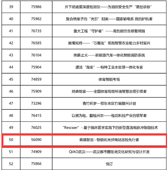 典型项目（部分）(图11)