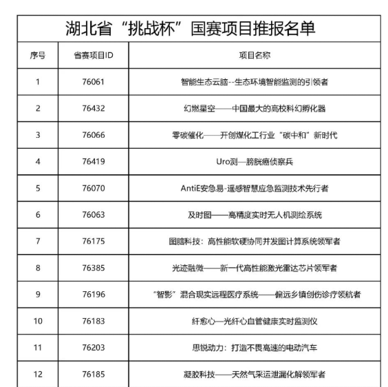 典型项目（部分）(图10)